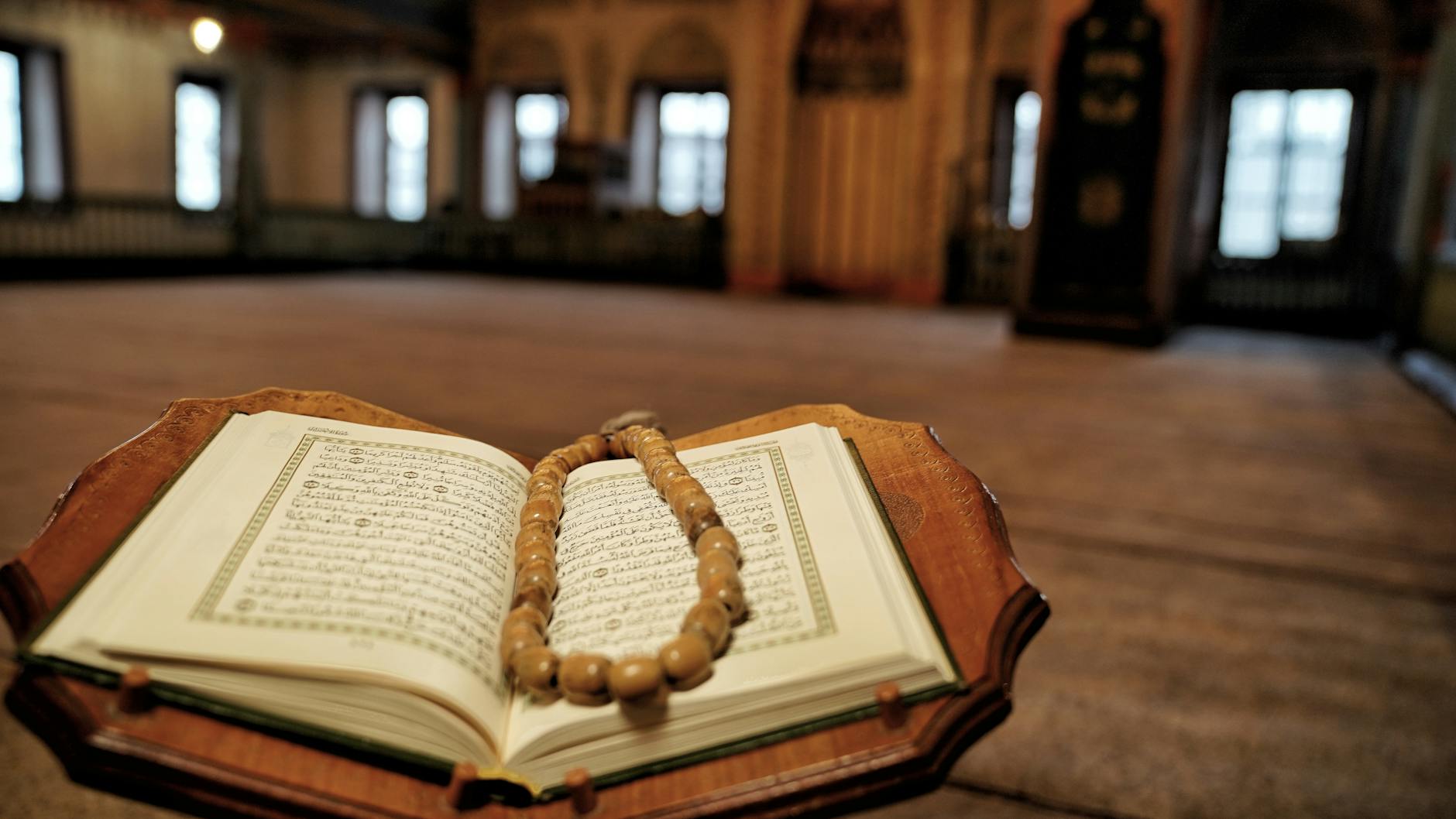 Rêve de chien en islam : significations et interprétations
